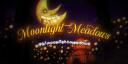 ݁.⋆ Moonlight Meadows ⋆. ݁ Banner