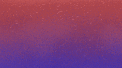 The Freedom Survur banner