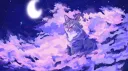 ₊˚ᗢ 𝐊𝐈𝐓𝐓𝐘'𝐒 𝐋𝐎𝐔𝐍𝐆𝐄! banner