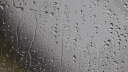 ༺  𝖓𝖙𝖙  ༻ banner