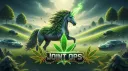 JOIN THE NEW SERVER banner
