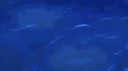 World RO 愛如初見 banner