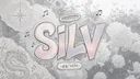 ࣪ ˖ ᨳଓ  S𝗶𝗹𝘃 banner