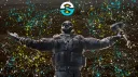 LSG banner