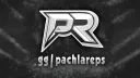 PachlaReps Polska banner