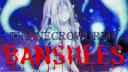 The Necroworld Banshees server banner