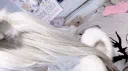 the isle kings hangout Discord server banner