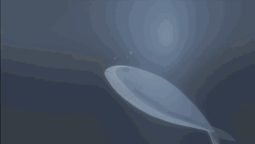 Girls' Last Tour | 少女終末旅行 Discord server banner