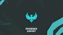 Phoenix Banner