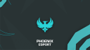 TEAM Phoenix Discord server banner