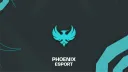 TEAM  Phoenix Discord server banner