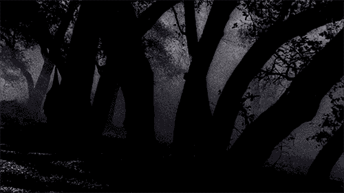 ♰𝕱𝖗𝖊𝖆𝖐𝖘𝖍𝖔𝖜¹⁸⁺♰ Discord server banner