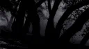 ♰𝕱𝖗𝖊𝖆𝖐𝖘𝖍𝖔𝖜¹⁸⁺♰ Discord server banner