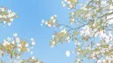 🐇兎 Chocolat Rabbit banner