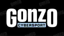 GONZO CYBERSPORT banner
