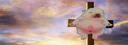 banner