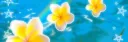 Deaddd Discord server banner