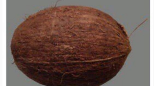 The Floof Squad Discord server banner