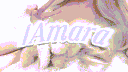 nitro gw // only when active banner