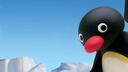 𝒑𝒊𝒏𝒈𝒖 Banner