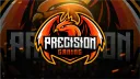 Precision Gaming banner