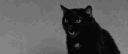 vampire Discord server banner