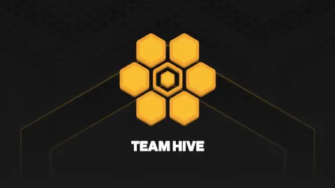 Team Hive banner
