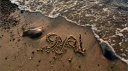 @gyal 🥥 server banner