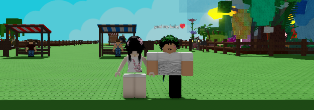 sn Banner