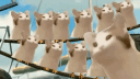Clap_Ayah's Fammy! server banner