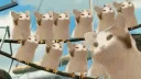 Clap_Ayah's Fammy! Discord server banner