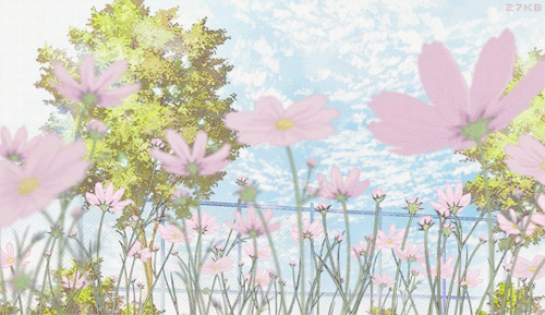 Pookieee Coded 🎀 Discord server banner