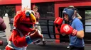 banner