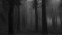 The Hideout | Chat • Social • Chill • Voice Banner