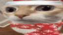 Angle's Server banner