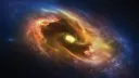 DP | ๐ฏ๐๐๐๐๐๐๐๐๐๐ ๐ป๐๐๐๐๐๐๐ Discord server banner