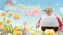 🐝 EUROMATATO'S MINIVAN 🍄 banner
