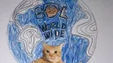 BOL FAM banner