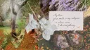 Tiny Terror Tribe server banner