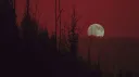 𝚁𝚎𝚍 𝙱𝚎𝚊𝚛 𝙰𝚌𝚊𝚍𝚎𝚖𝚢 𝚁𝙿 banner