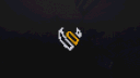 The Valy banner