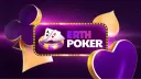 ERTH Poker banner