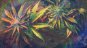 ZAZA 🍃 banner
