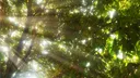 sunshine ☀ server banner