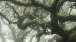 67 gay men + women making out 😛 server banner