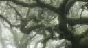 67 GAY men + women making out 😛 server banner