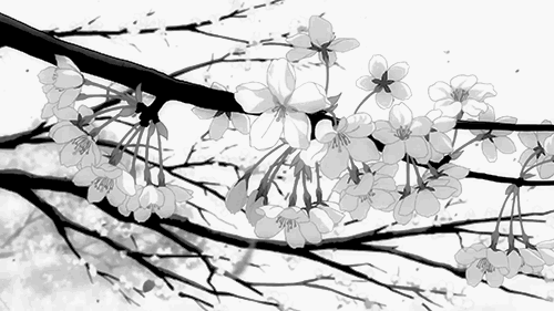 🦢 Ask For DM ˚ ˖ ✧˚ . D@ting・ Active・ Giveaways・ Guilds ・ Social ・ Sfw ・Ask To DM ・Ask2DM Discord server banner