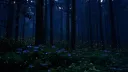 𝘊𝘰𝘭𝘥 𝘯𝘪𝘨𝘩𝘵 banner