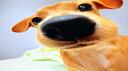 Psico Xit Banner