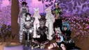 𝙽𝚘 𝚂𝚕𝚎𝚎𝚙 𝙻𝚘𝚞𝚗𝚐𝚎 server banner